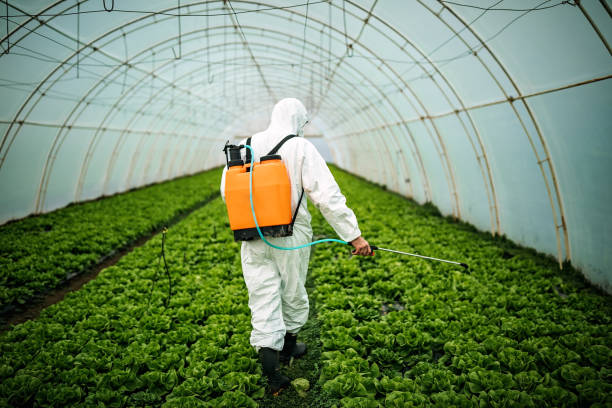 Best Pest Control Near Me  in Gold Hill, OR