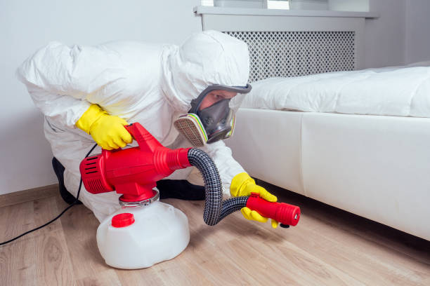 Professional Pest Control in Gold Hill, OR