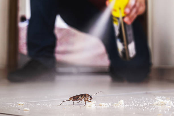 Best Wasp Removal Services  in Gold Hill, OR