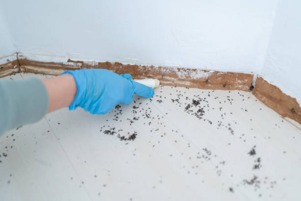 Best Best Pest Control Companies  in Gold Hill, OR